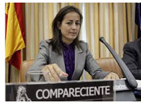 La directora general de Tr�fico comparece en el Congreso para informar de la situaci�n actual de la seguridad vial