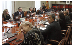 El CGPJ debatir� la pr�xima semana en un pleno extraordinario el informe al Anteproyecto de Ley del Aborto