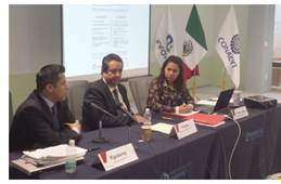 El Big Data, objeto de an�lisis del Observatorio Iberoamericano de Protecci�n de Datos en M�xico DF