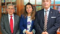 El Proyecto de Madrid Nuevo Norte