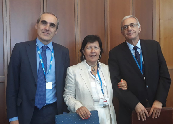 Asociación de Fiscales UIMP