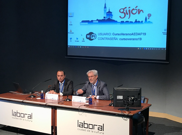 Curso de Verano de AEDAF