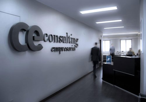 CE Consulting