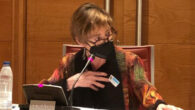 La presidenta de Unión Profesional, Victoria Ortega, durante su intervención en el Senado