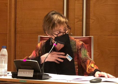 La presidenta de Unión Profesional, Victoria Ortega, durante su intervención en el Senado