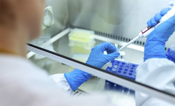 Máster en Biotecnología y Derecho