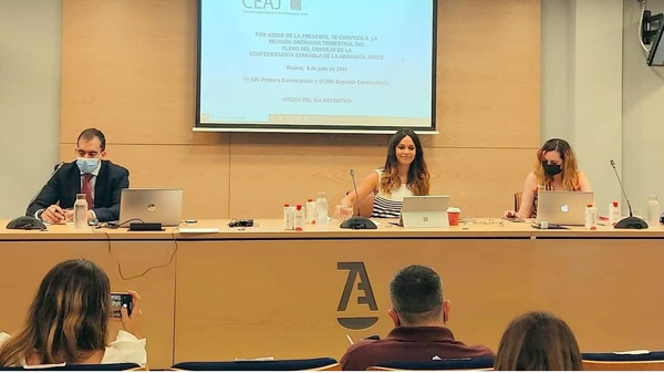 Pleno de la Confederación Española de la Abogacía Joven