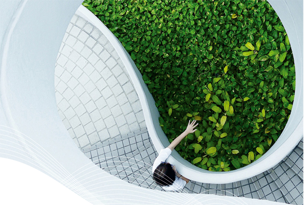 La descarbonización del transporte en Europa