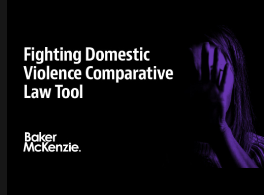 Baker McKenzie Domestic Violence