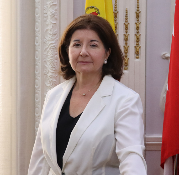 Ana Buitrago, Diputada responsable del área social del ICAM y Vicepresidenta de la Fundación