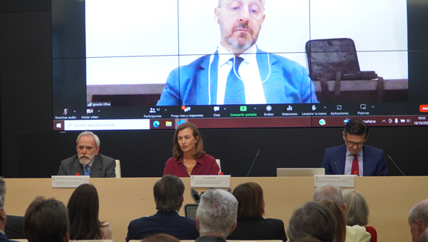 ICAM Ley de Amnistía