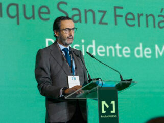 Enrique Sanz Fernández-Lomana, presidente de Mutualidad