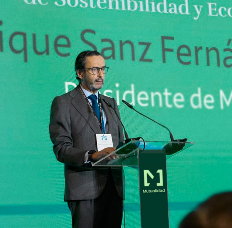 Enrique Sanz Fernández-Lomana, presidente de Mutualidad