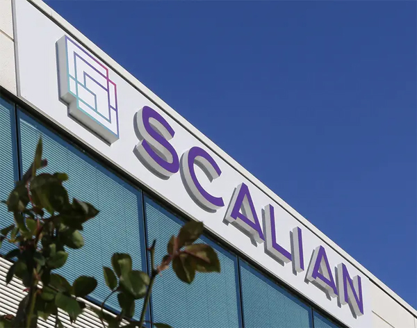 Grupo Scalian
