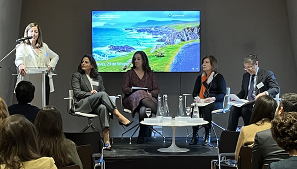 HSF - Programas de cumplimiento en materia de competencia y contratación pública