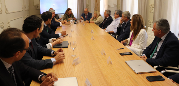 GAONA Abogacía y Consultoría