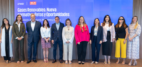 subcomisión de Biometano, Hidrógeno y E-fuels