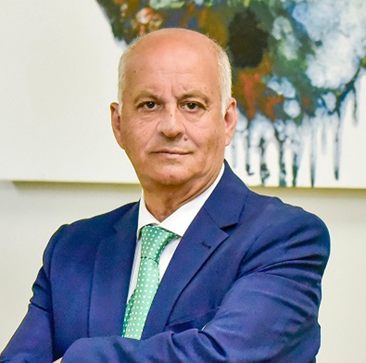 Joaquín Merchán, Presidente del Consejo General de Graduados Sociales