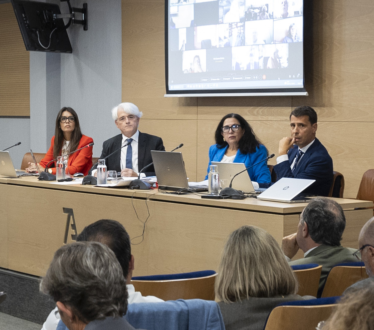Pleno del Consejo General de la Abogacía Española