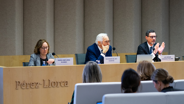 María José López Álvarez, Salvador del Rey Guanter y Luis Enrique Fernández Pallarés