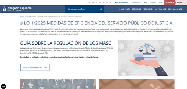 Ley Orgánica 1/2025