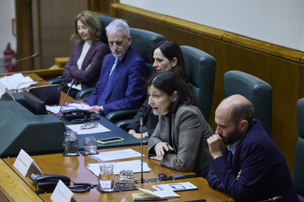 Los derechos fundamentales de las personas con discapacidad: perspectivas personal y patrimonial