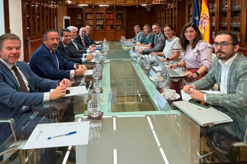 Abogacía Española, Procuradores y Graduados Sociales
