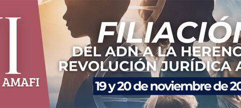 VI Congreso AMAFI