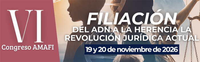 VI Congreso AMAFI